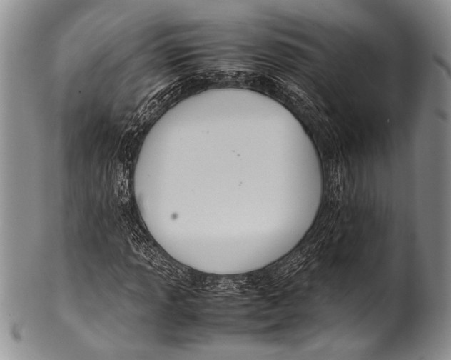 X0000100341013200806261321