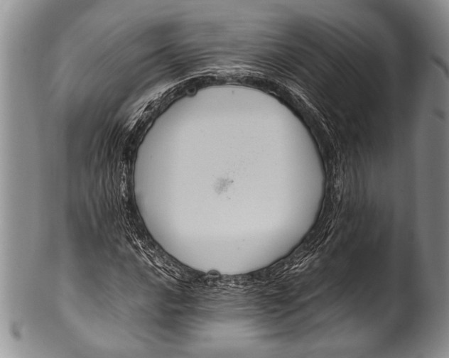 X0000100341016200806261321