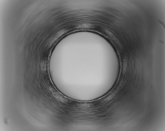 X0000100341017200806261321