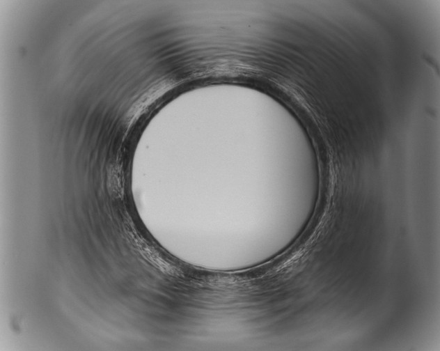 X0000100341018200806261321