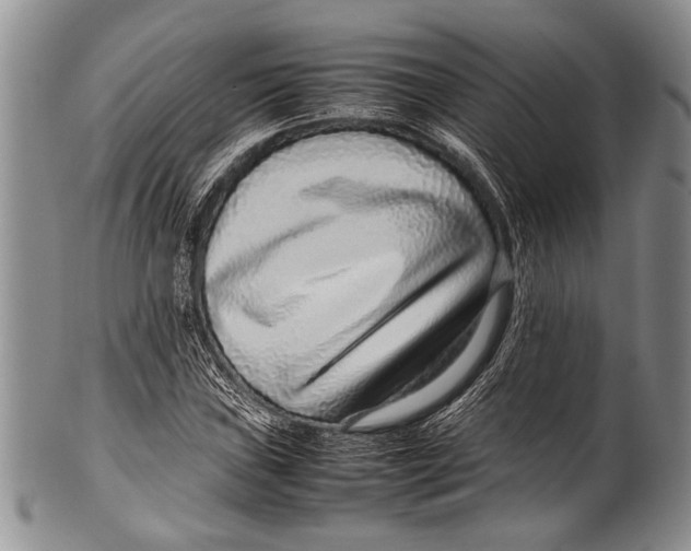 X0000100341019200806261321