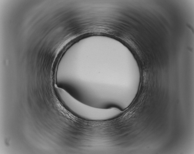 X0000100341020200806261321