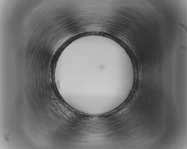 X0000100341022200806261321