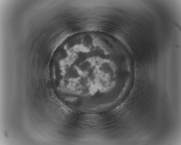 X0000100341023200806261321