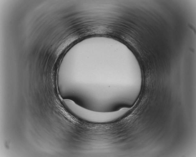 X0000100341026200806261321