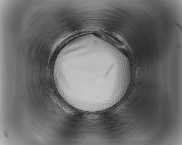 X0000100341027200806261321