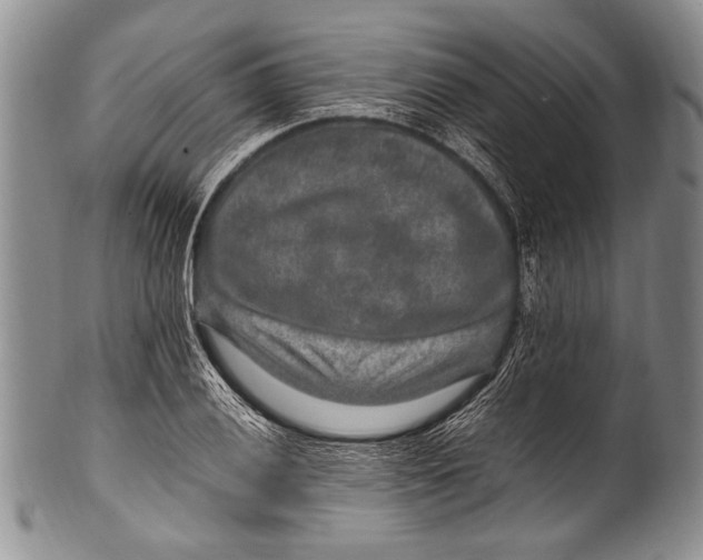 X0000100341028200806261321