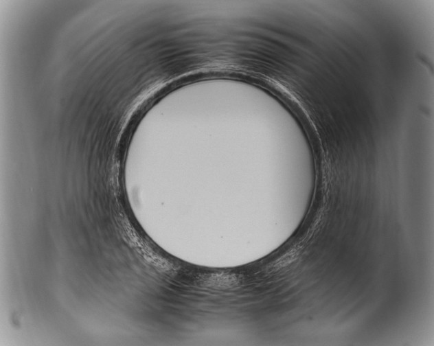 X0000100341029200806261321