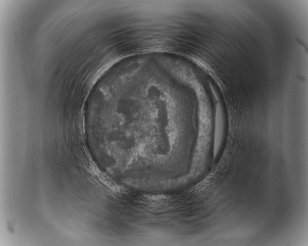 X0000100341031200806261321