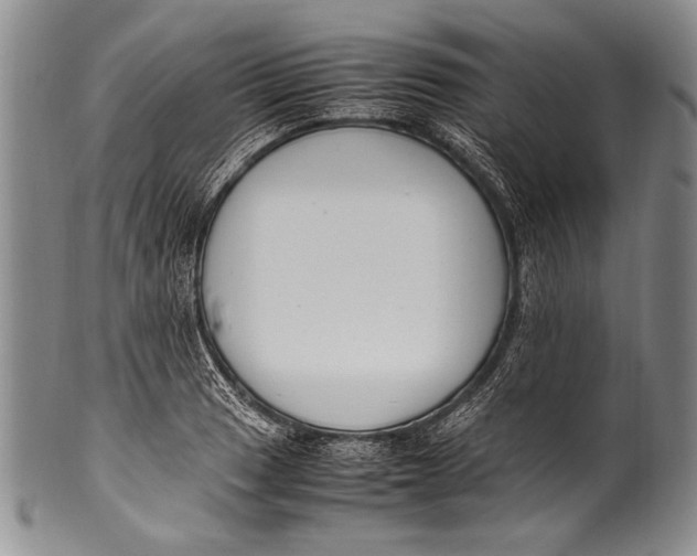 X0000100341033200806261322