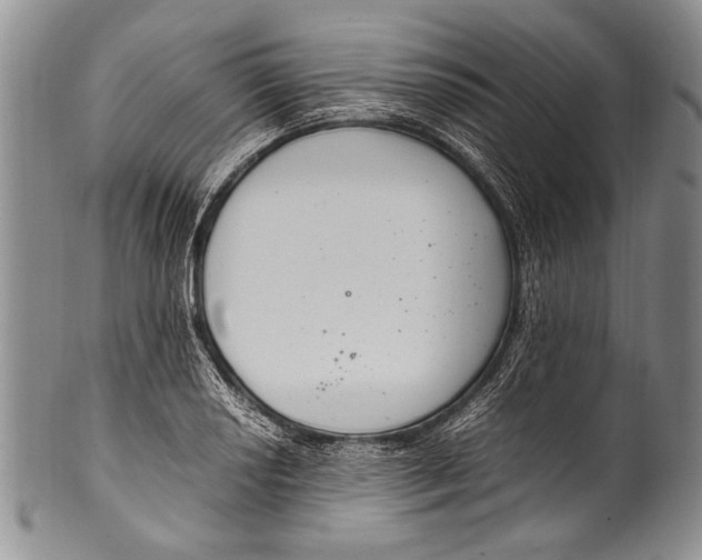 X0000100341034200806261322