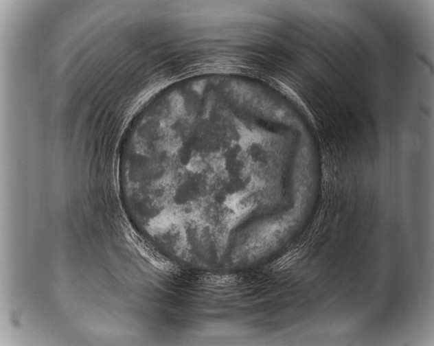 X0000100341035200806261322