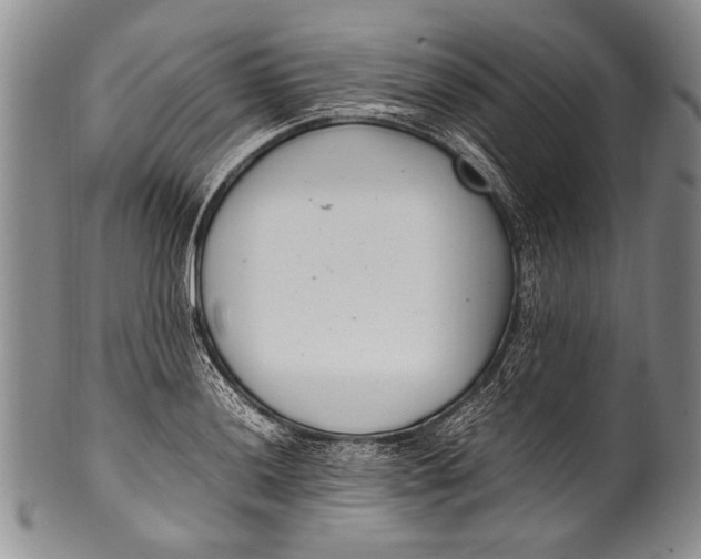 X0000100341036200806261322