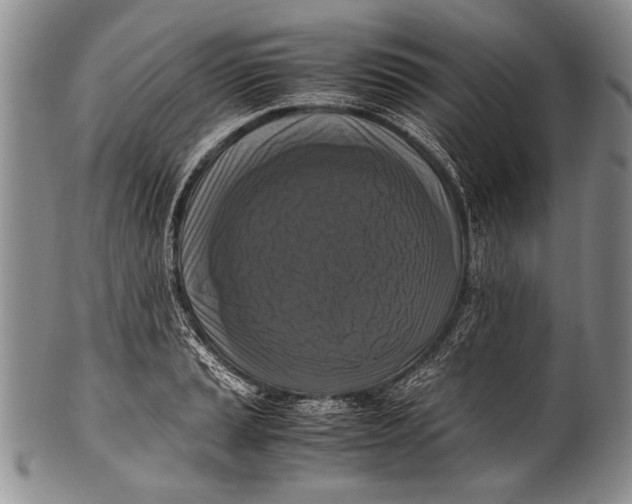 X0000100341037200806261322