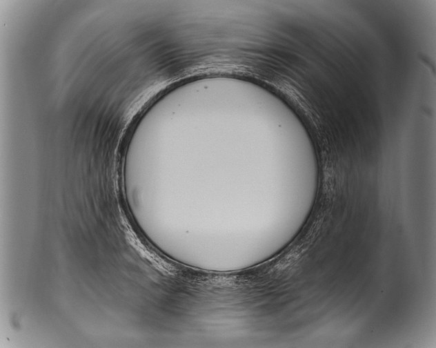 X0000100341038200806261322