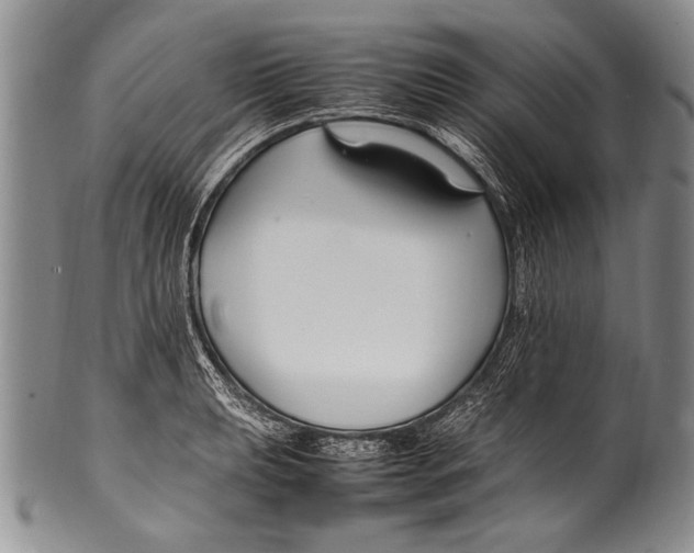 X0000100341039200806261322