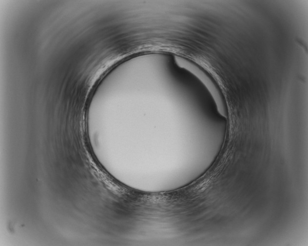 X0000100341040200806261322