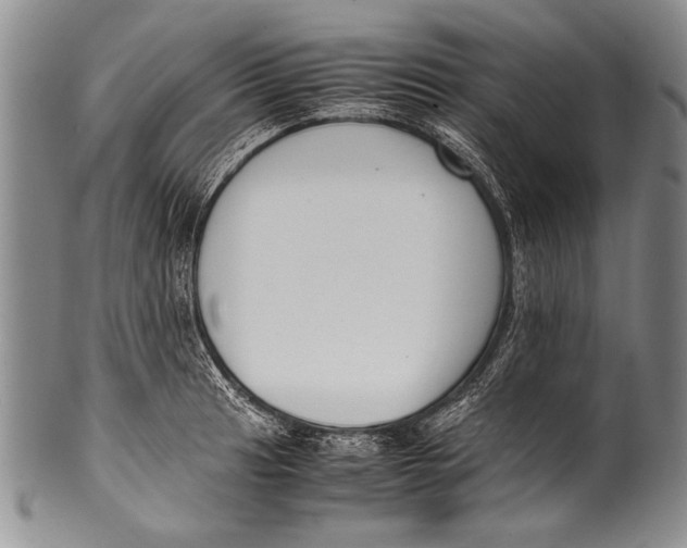 X0000100341041200806261322