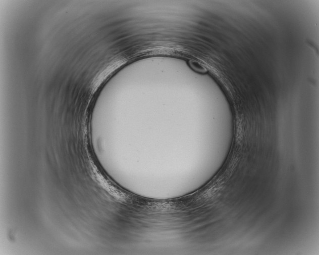 X0000100341042200806261322