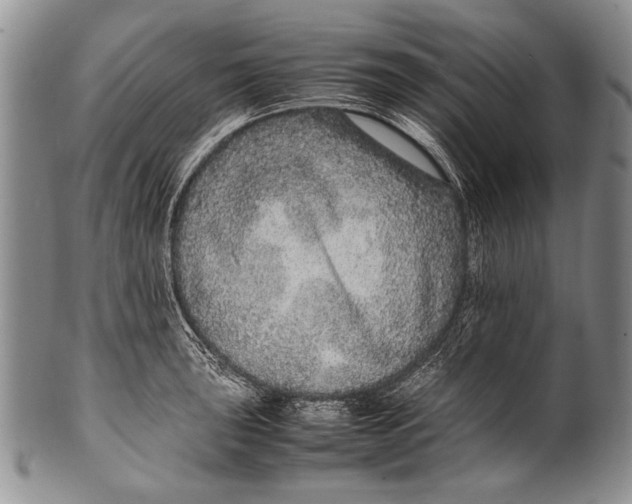 X0000100341043200806261322