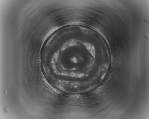 X0000100341045200806261322