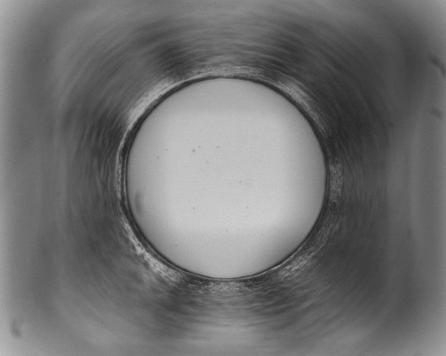 X0000100341046200806261322