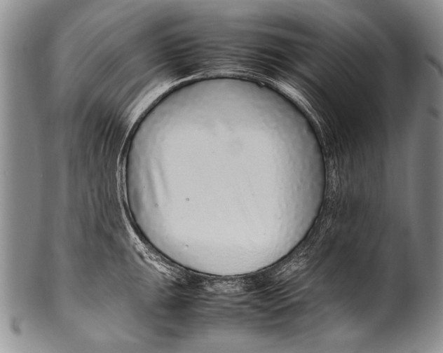 X0000100341047200806261322