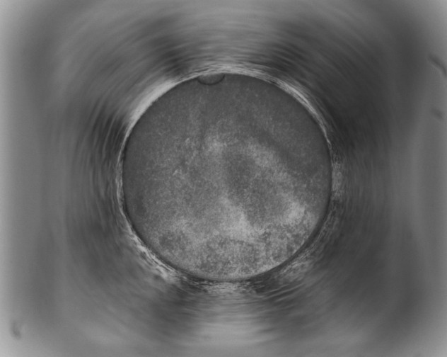 X0000100341048200806261322