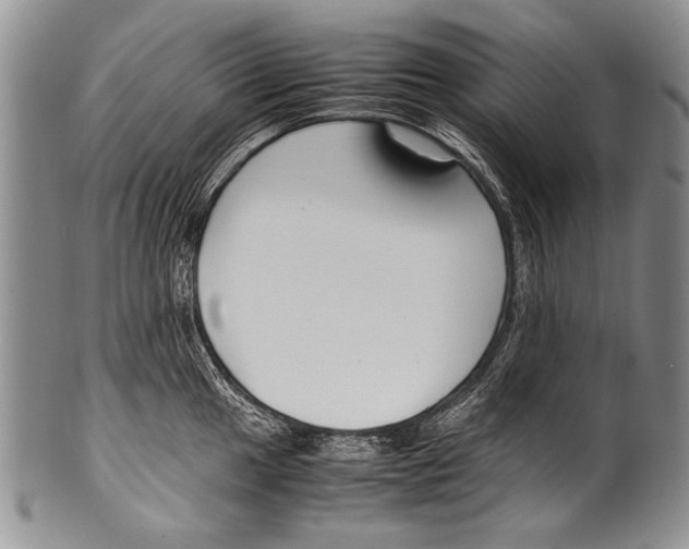 X0000100341049200806261322