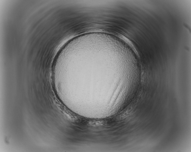 X0000100341051200806261322