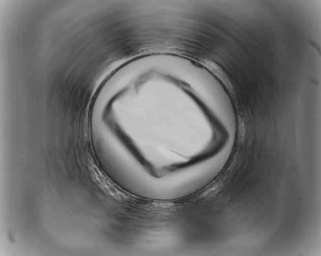 X0000100341052200806261322