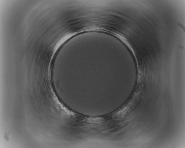 X0000100341053200806261322