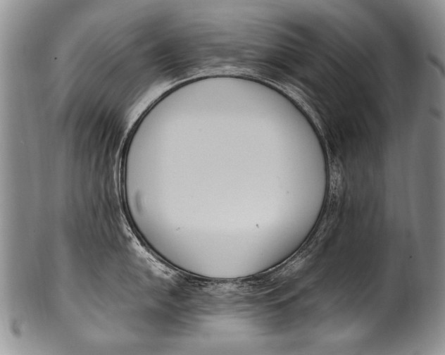 X0000100341054200806261322