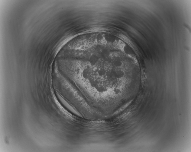 X0000100341055200806261322