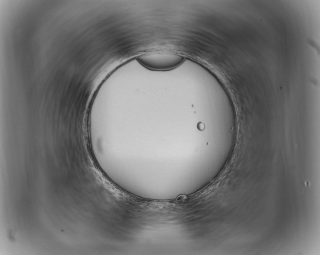 X0000100341056200806261322