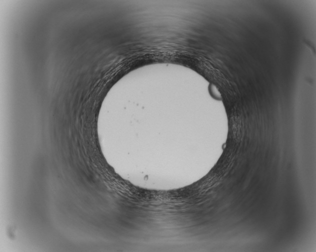 X0000100341057200806261321