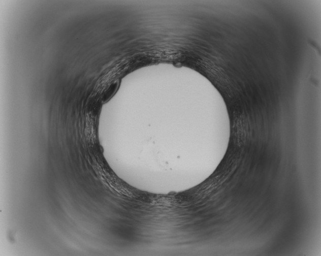 X0000100341058200806261321