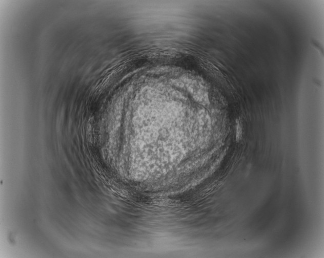 X0000100341059200806261321