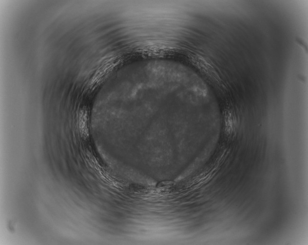 X0000100341060200806261321