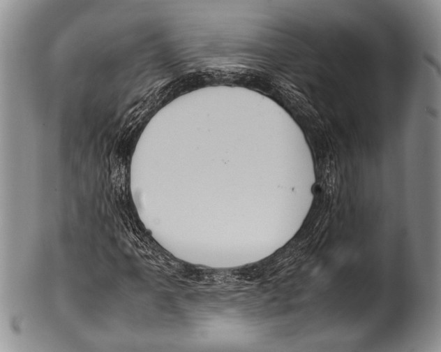 X0000100341061200806261321