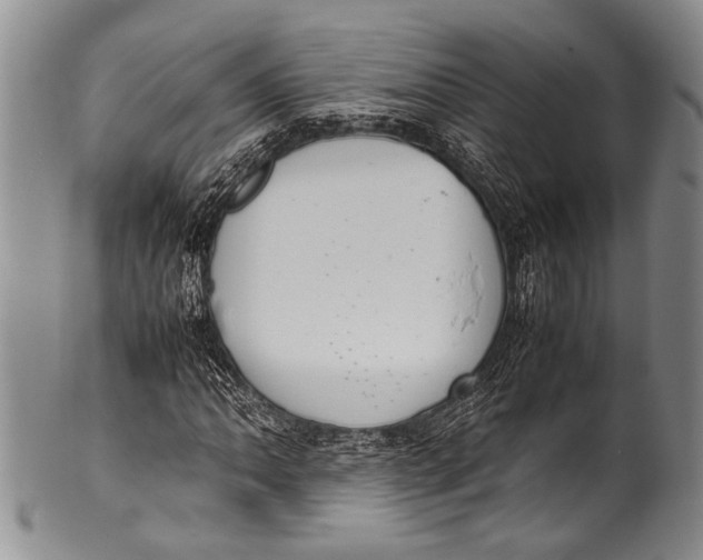 X0000100341062200806261321