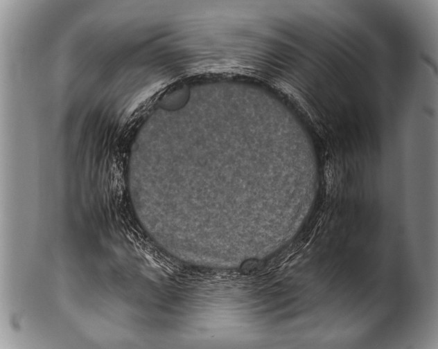 X0000100341064200806261321