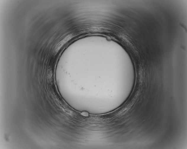 X0000100341065200806261321