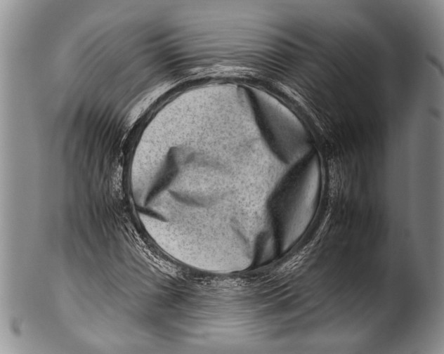 X0000100341066200806261321