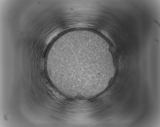 X0000100341067200806261321