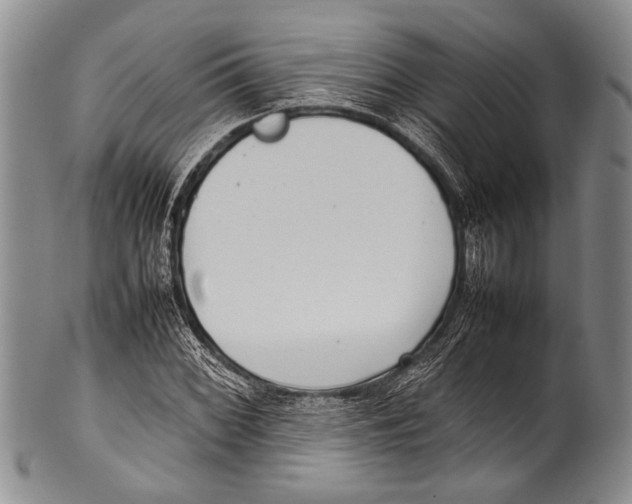 X0000100341068200806261321