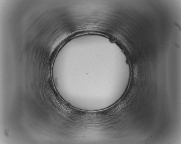 X0000100341069200806261321