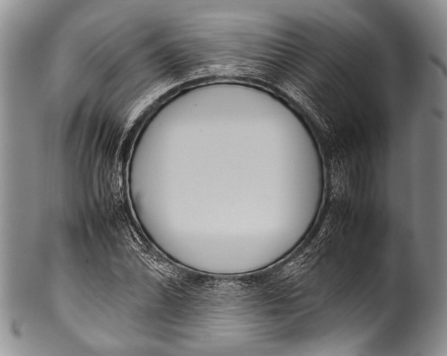 X0000100341070200806261321