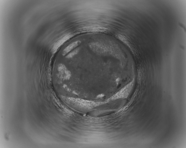 X0000100341071200806261321