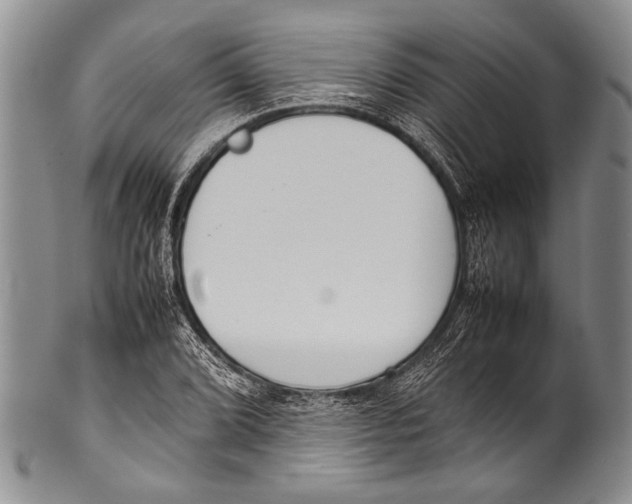 X0000100341072200806261321